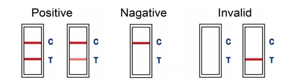 Self-Testing FOB Test Kit