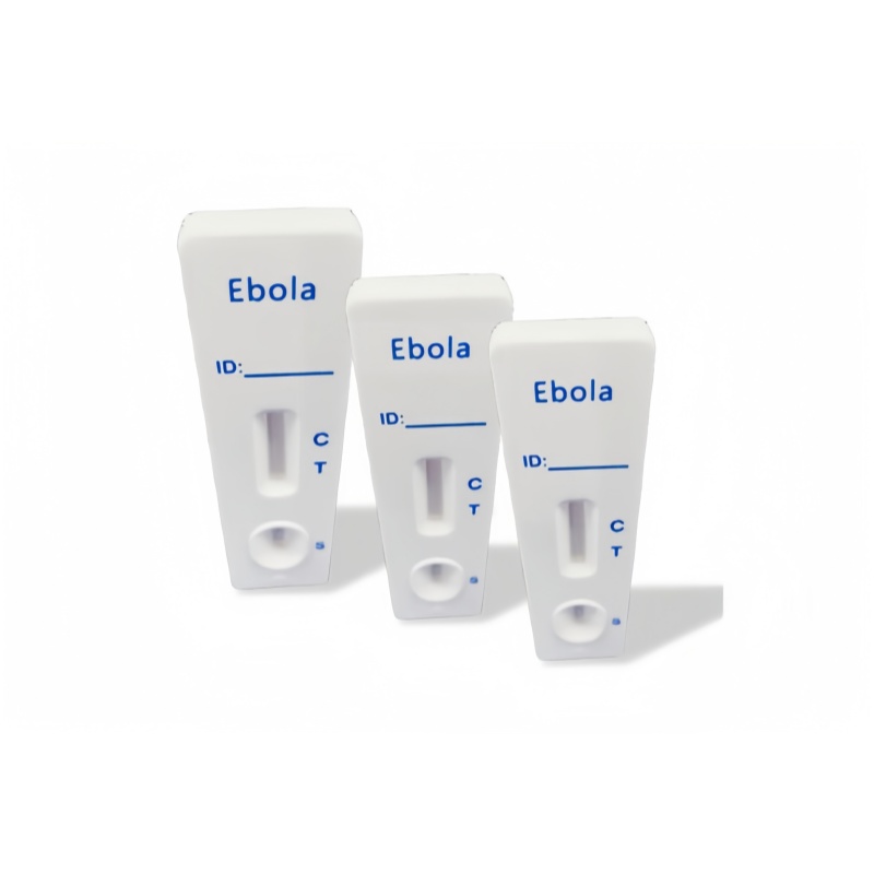 Ebola Virus Antigen Rapid Test serves as a first-line defense tool in outbreak containment